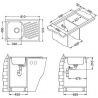 Alveus   10