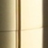  Paulmark Salix.  ,  